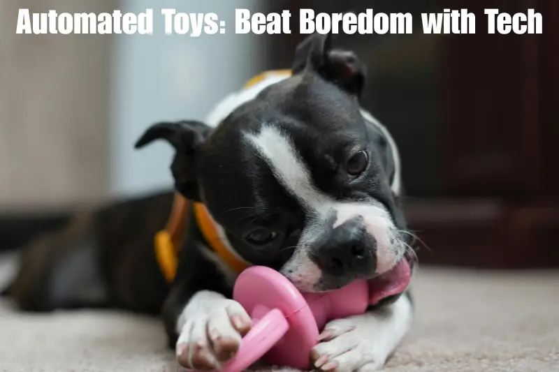 automated toys beat boredom with tech