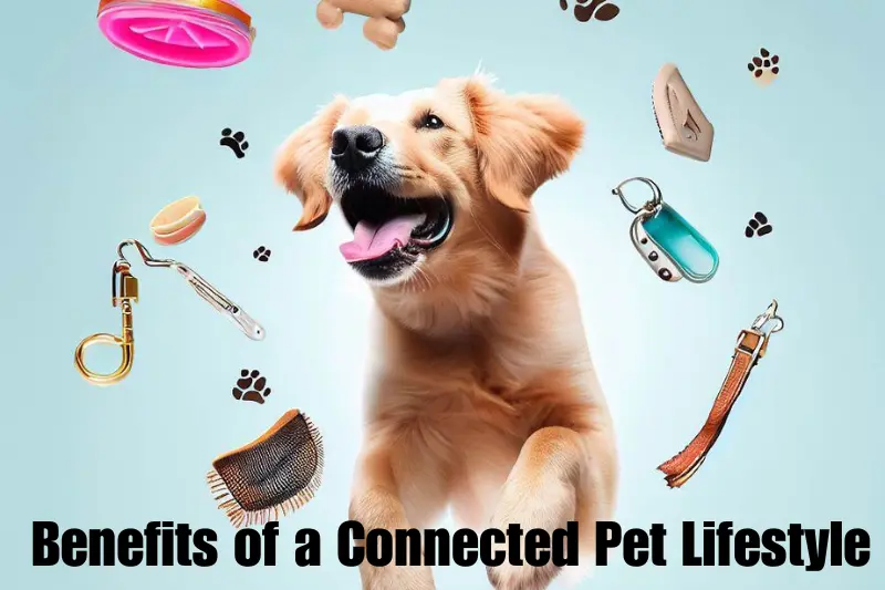 benefits of a connected pet lifestyle