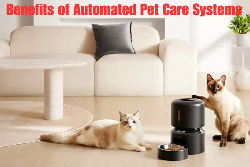 benefits of automated pet care systems