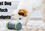 best dog tech gadgets