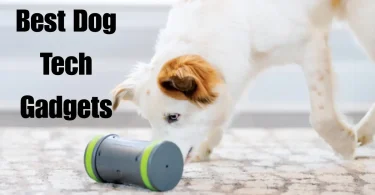best dog tech gadgets