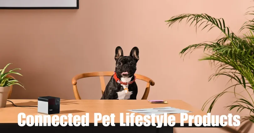 connected pet lifestyle products