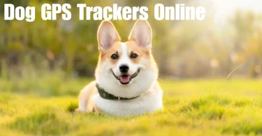 dog gps trackers online