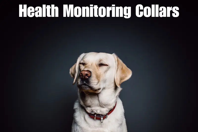 health monitoring collars