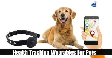 health tracking wearables for pets