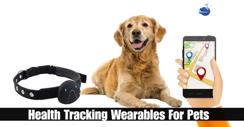 health tracking wearables for pets