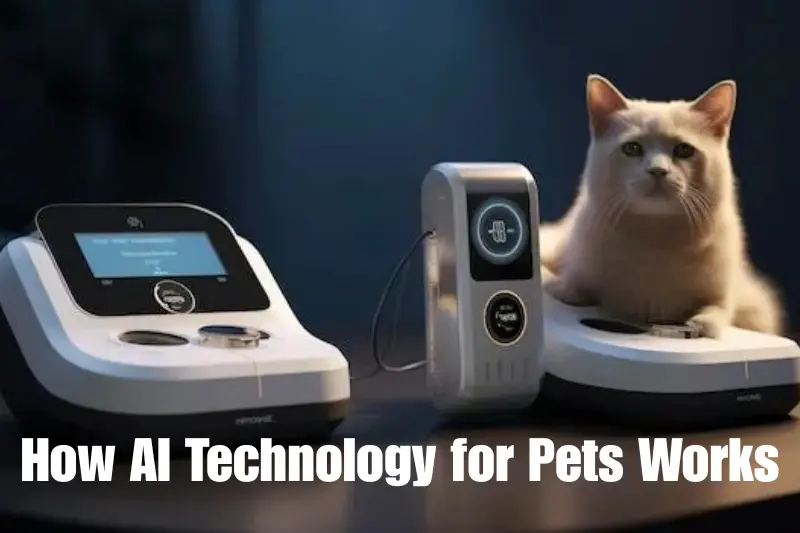 how ai technology for pets works