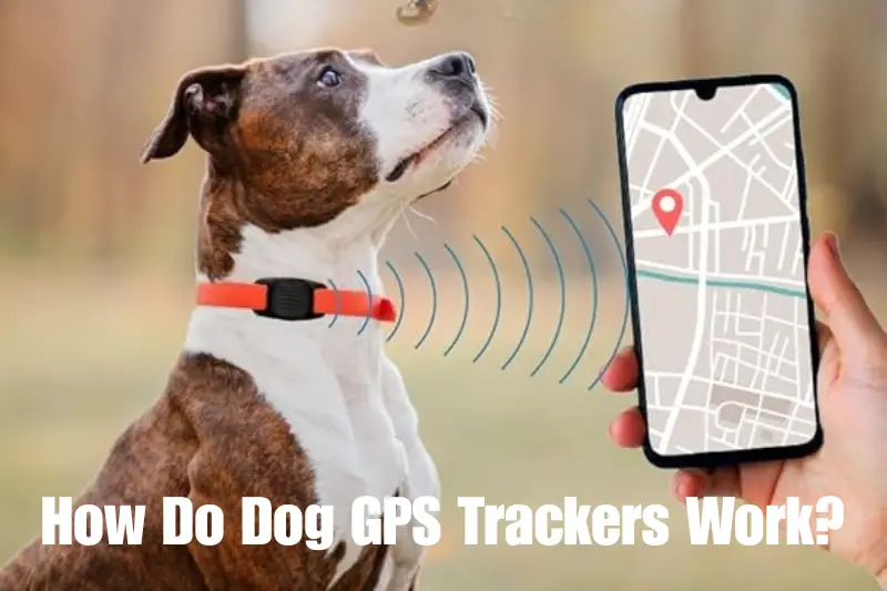 how do dog gps trackers work