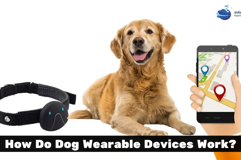 how do dog wearable devices work