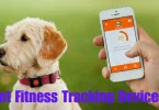 pet fitness tracking devices