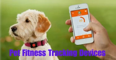 pet fitness tracking devices