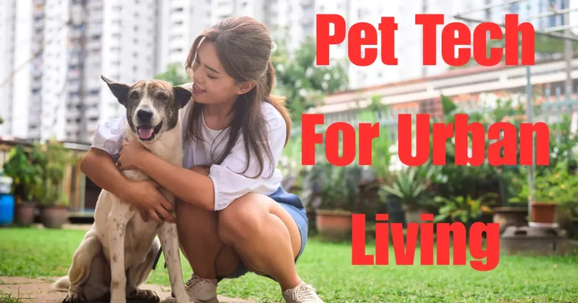 pet tech for urban living