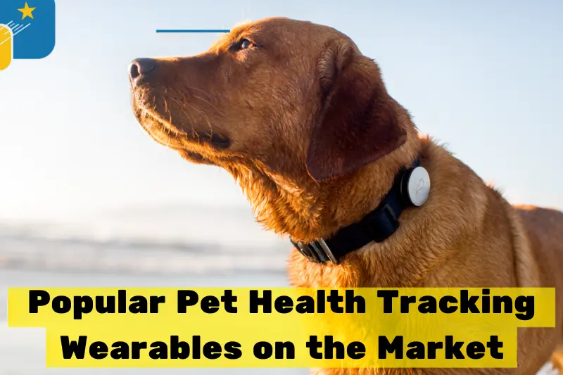 popular pet health tracking wearables on the market