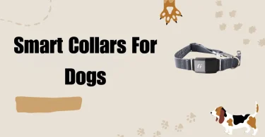 smart collars for dogs