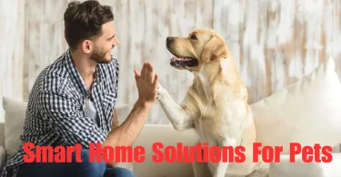 smart home solutions for pets