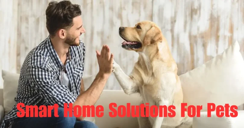 smart home solutions for pets