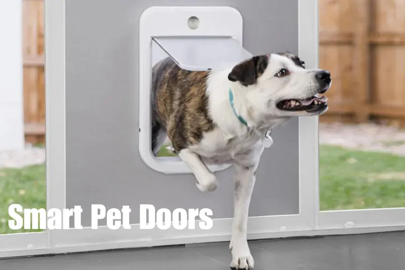 smart pet doors