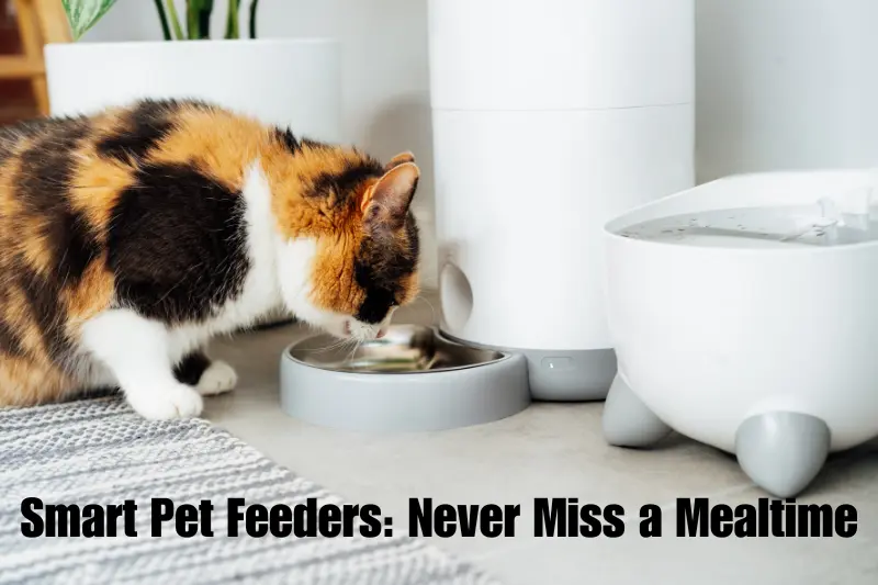 smart pet feeders never miss a mealtime