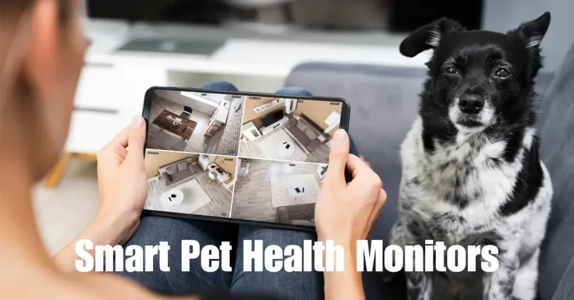 smart pet health monitors