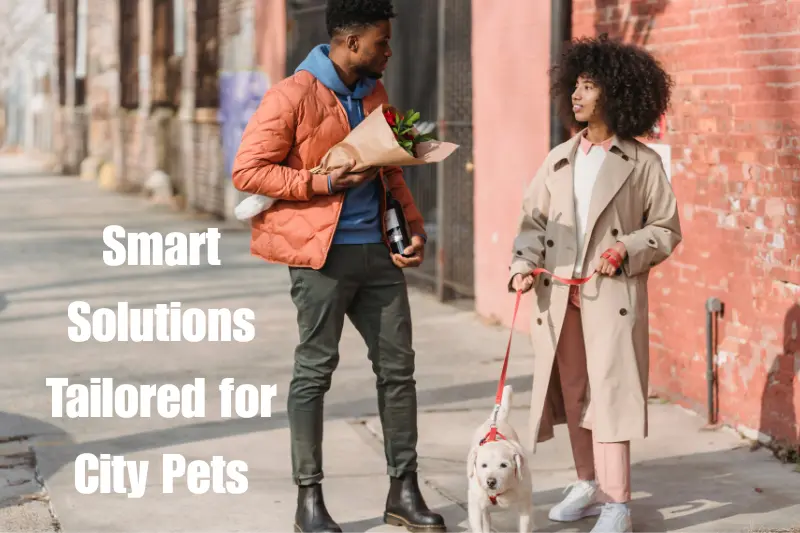 smart solutions tailored for city pets