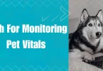 tech for monitoring pet vitals