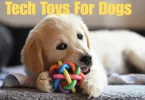 tech toys for dogs