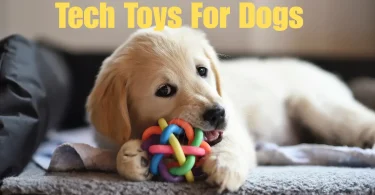 tech toys for dogs