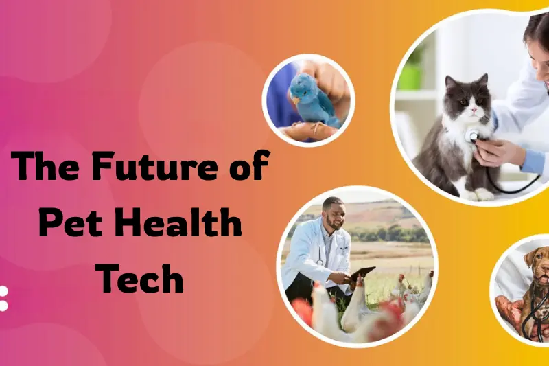 the future of pet health tech