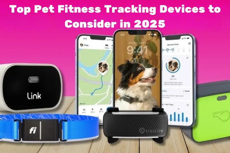 top pet fitness tracking devices to consider in 2025