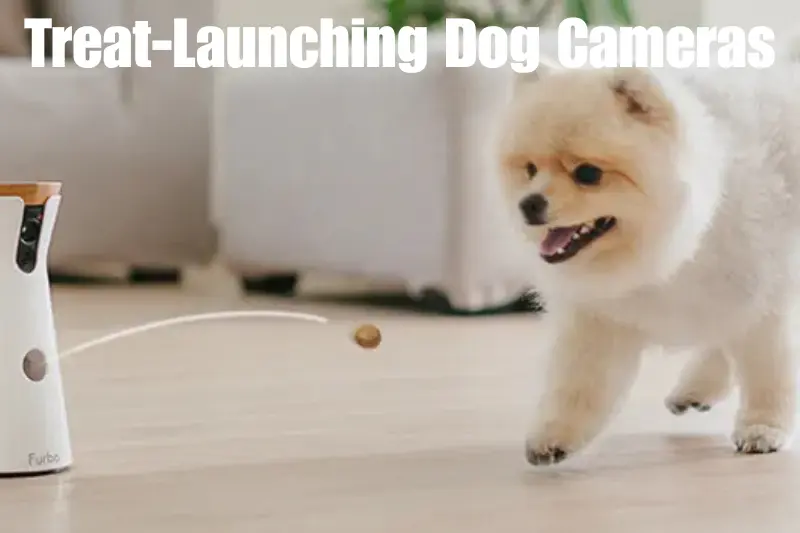 treat-launching dog cameras