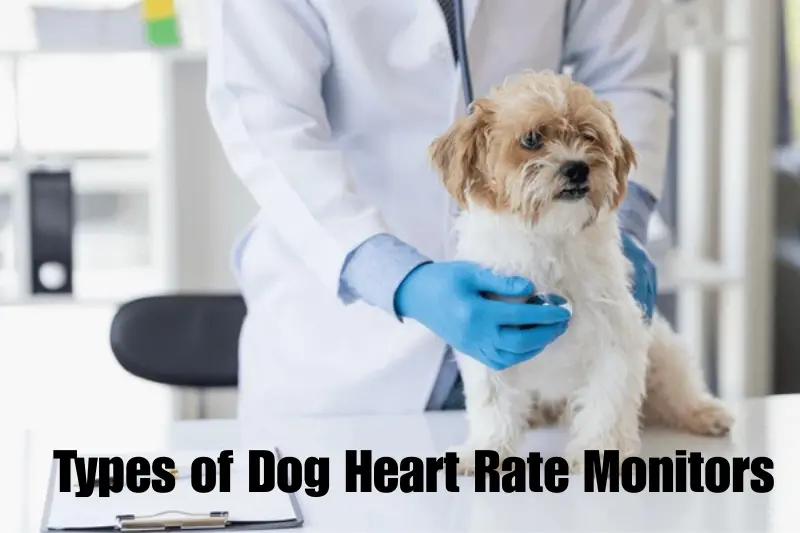 types of dog heart rate monitors