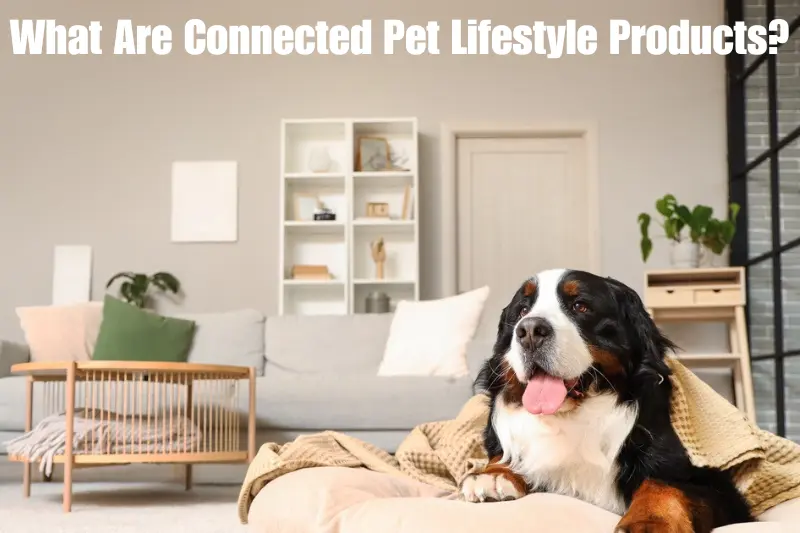 what are connected pet lifestyle products