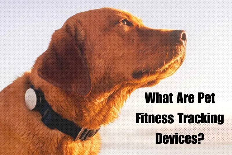 what are pet fitness tracking devices