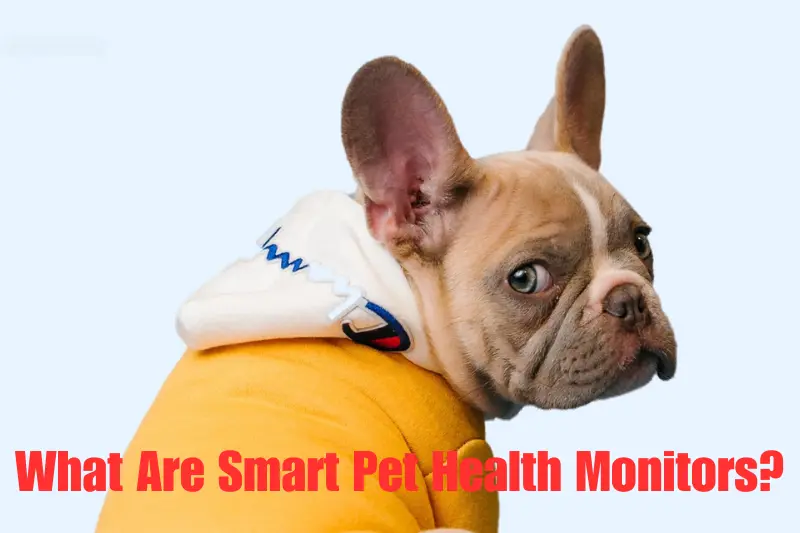what are smart pet health monitors