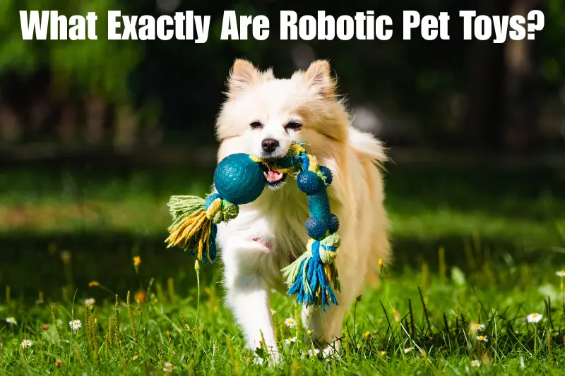 what exactly are robotic pet toys