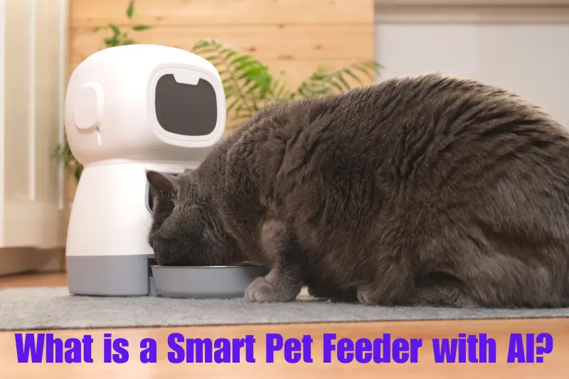 what is a smart pet feeder with ai