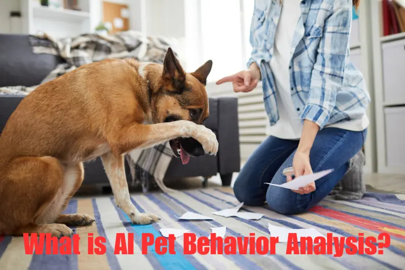 what is ai pet behavior analysis