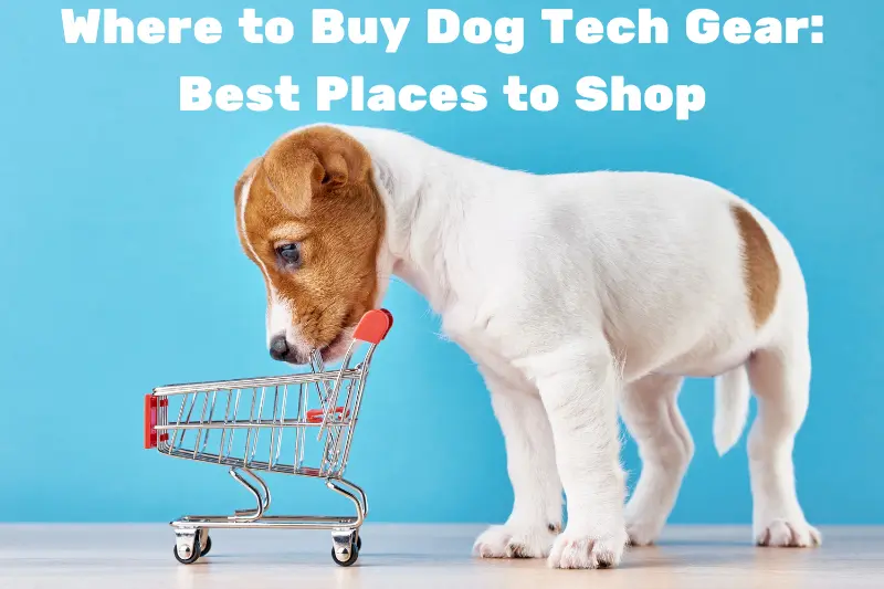 where to buy dog tech gear best places to shop