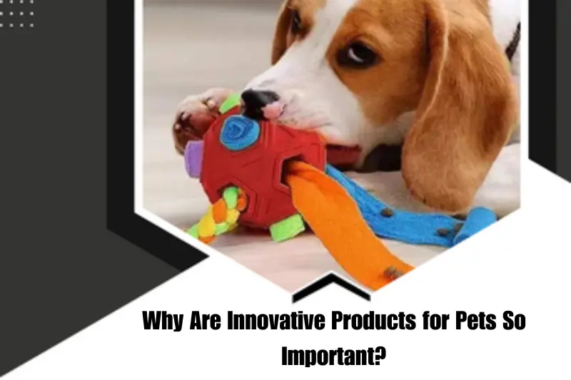 why are innovative products for pets so important