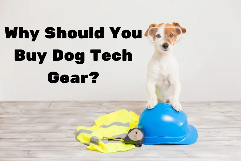 why should you buy dog tech gear