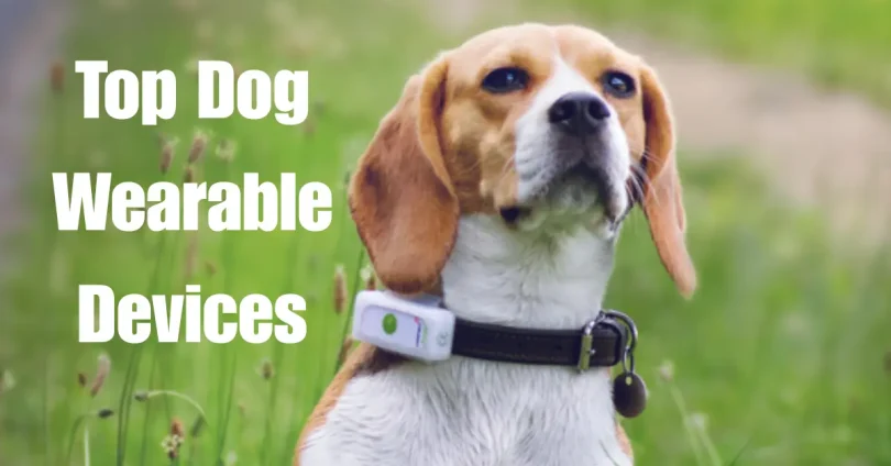 Top Dog Wearable Devices: Revolutionizing Pet Care with Smart Technology