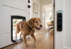 smart pet doors
