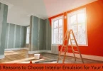 Top 8 Reasons to Choose Interior Emulsion for Your Walls